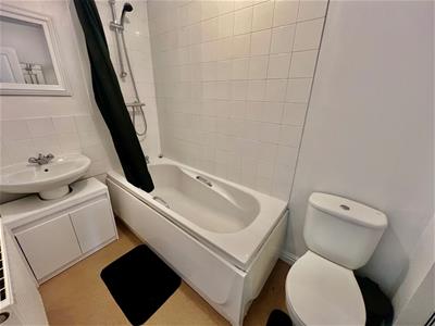 Picture 12